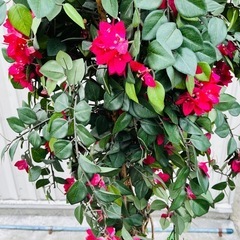 インテリア　造花　人口観葉植物の画像