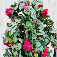 インテリア　造花　人口観葉植物の画像