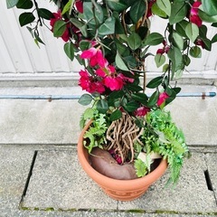 インテリア　造花　人口観葉植物の画像