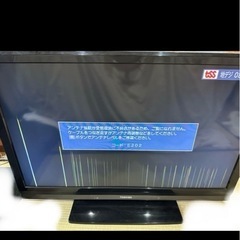 TOSHIBA REGZA