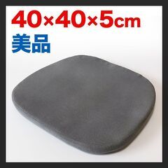 【美品：直接手渡し】冷え・腰痛、軽い、クッション、座布団、シート...