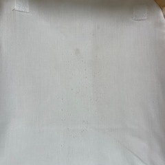 フォルスカ   ベビーインベッドの画像