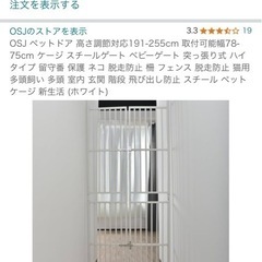 ツッパリ式の猫、ベビーゲート(お話中)