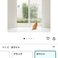 ツッパリ式の猫、ベビーゲート(お話中)の画像