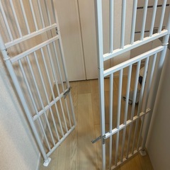 ツッパリ式の猫、ベビーゲート(お話中)の画像