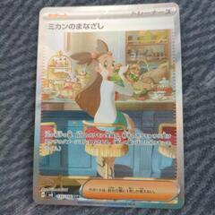 ミカンのまなざし