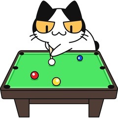 ビリヤードをやってみたい！