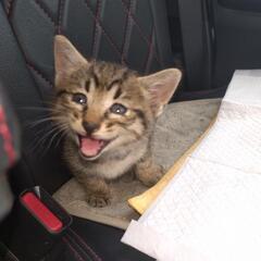 宜しくお願いします。