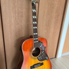 【11月5日締切】Epiphone hummingbird proの画像