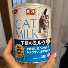 キャットミルクほぼ新品！