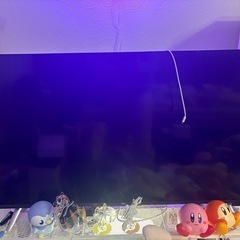 テレビ　43型