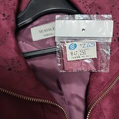 女性ベロアのジャケットの画像