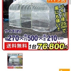 ビニールハウス
