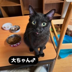 大ちゃん - 滑川市
