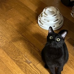 大ちゃん