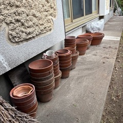 陶器の植木鉢