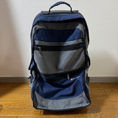 キャリアバッグ