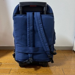 キャリアバッグの画像