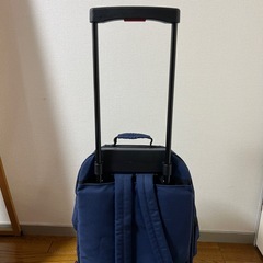 キャリアバッグの画像