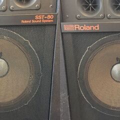 ○ローランドスピーカー ROLAND SST-80 オーディオ機器 音響 ライブハウス イベント 動作未確認ジャンク扱い 現状品(NF241101)303-520の画像