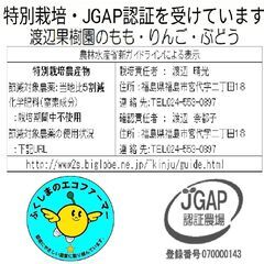 わけありリンゴ1kg200円より【特別栽培】の画像
