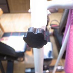 143/611 ALINCO アルインコ ぶらさがりくん ぶら下がり健康器の画像