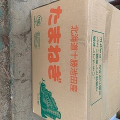 北海道玉ねぎ　sサイズ　20kgの画像