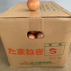 北海道玉ねぎ　sサイズ　20kgの画像