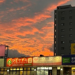 雨なので暇です！