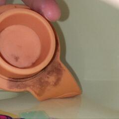 ベビーバス※訳あり無料(犬猫ペット)の画像