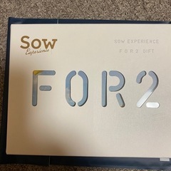 SOW experience チケットの画像