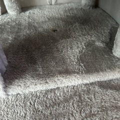 （取り引き中）【早い者勝ち！再値下げ！】キャットタワー　使用頻度少なめ！美品です！の画像