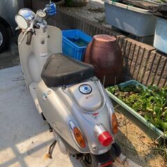 原付バイクの画像