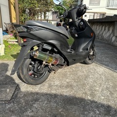 シグナス3型‼️当日配送可能‼️の画像