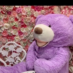 無料　BIGぬいぐるみ