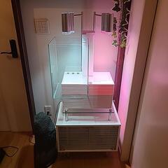 水槽　brio35　メダカ　金魚　熱帯魚