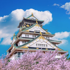 〈✨誰でも応募可能✨〉学歴・経歴一切不問！年齢制限なし！社長職✨の画像