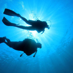 〈✨誰でも応募可能✨〉学歴・経歴一切不問！年齢制限なし！社長職✨の画像