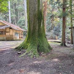 神石高原町〜府中神社巡りなど - 福山市