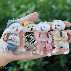 ビションフリーゼ/大きめアクリルキーホルダー4点（新品）