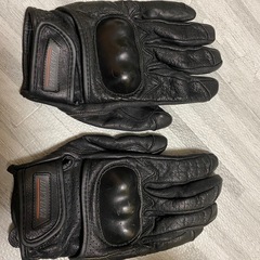 デイトナ　バイク用メッシュグローブ