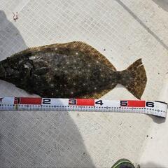 船釣りメンバー募集🎣 - メンバー募集