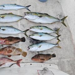 船釣りメンバー募集🎣
