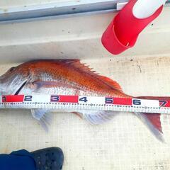 船釣りメンバー募集🎣 − 広島県