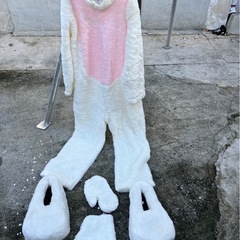 着ぐるみ🐰うさぎ🍉プロフ必読の画像
