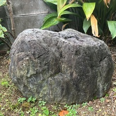 庭石
