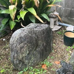 庭石の画像
