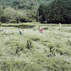 農村交流及び農業体験　年齢男女不問　家族連れ歓迎 - 丹波市