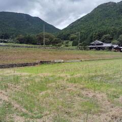 農村交流及び農業体験　年齢男女不問　家族連れ歓迎
