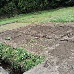 農村交流及び農業体験　年齢男女不問　家族連れ歓迎 - メンバー募集